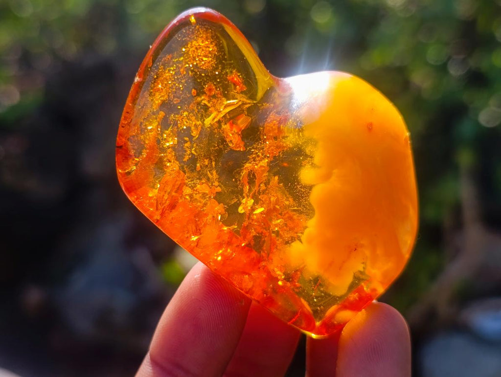 Polished Stunning Fossilised Baltic Amber Specimen x 1 From Poland