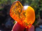Polished Stunning Fossilised Baltic Amber Specimen x 1 From Poland