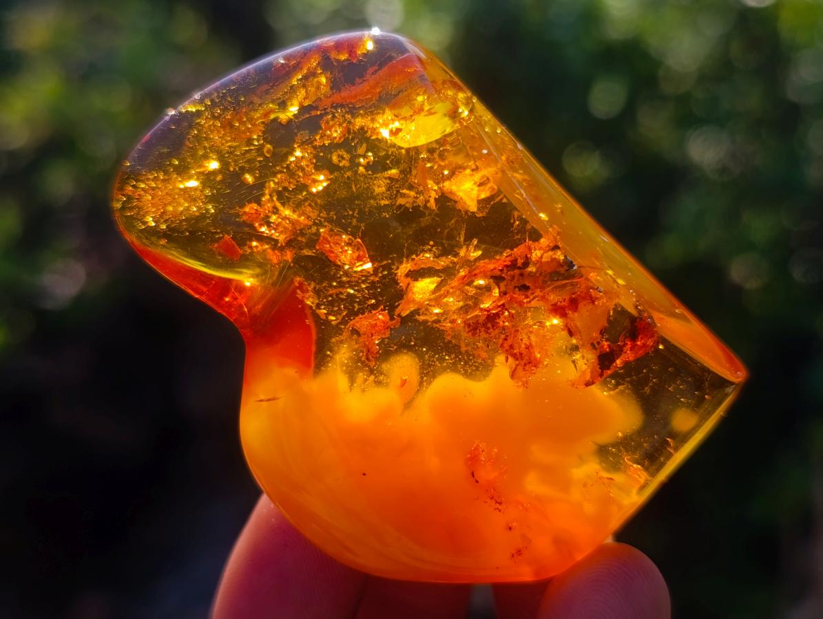 Polished Stunning Fossilised Baltic Amber Specimen x 1 From Poland