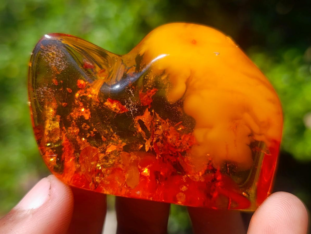 Polished Stunning Fossilised Baltic Amber Specimen x 1 From Poland