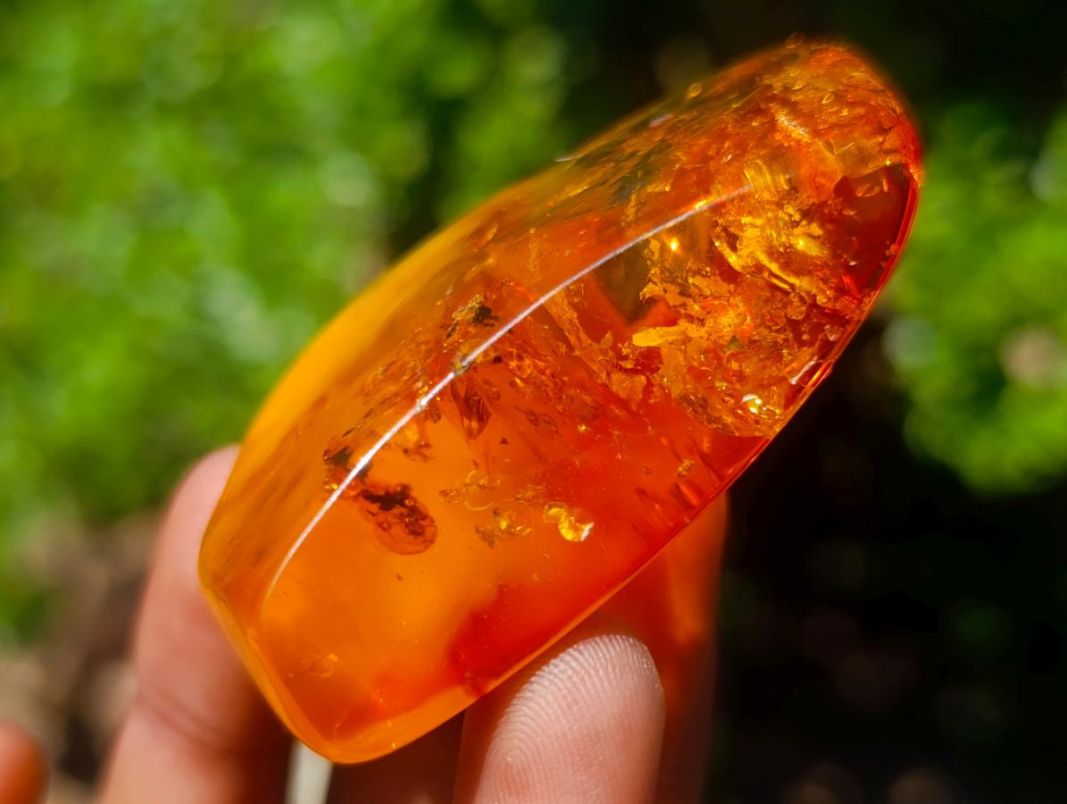 Polished Stunning Fossilised Baltic Amber Specimen x 1 From Poland