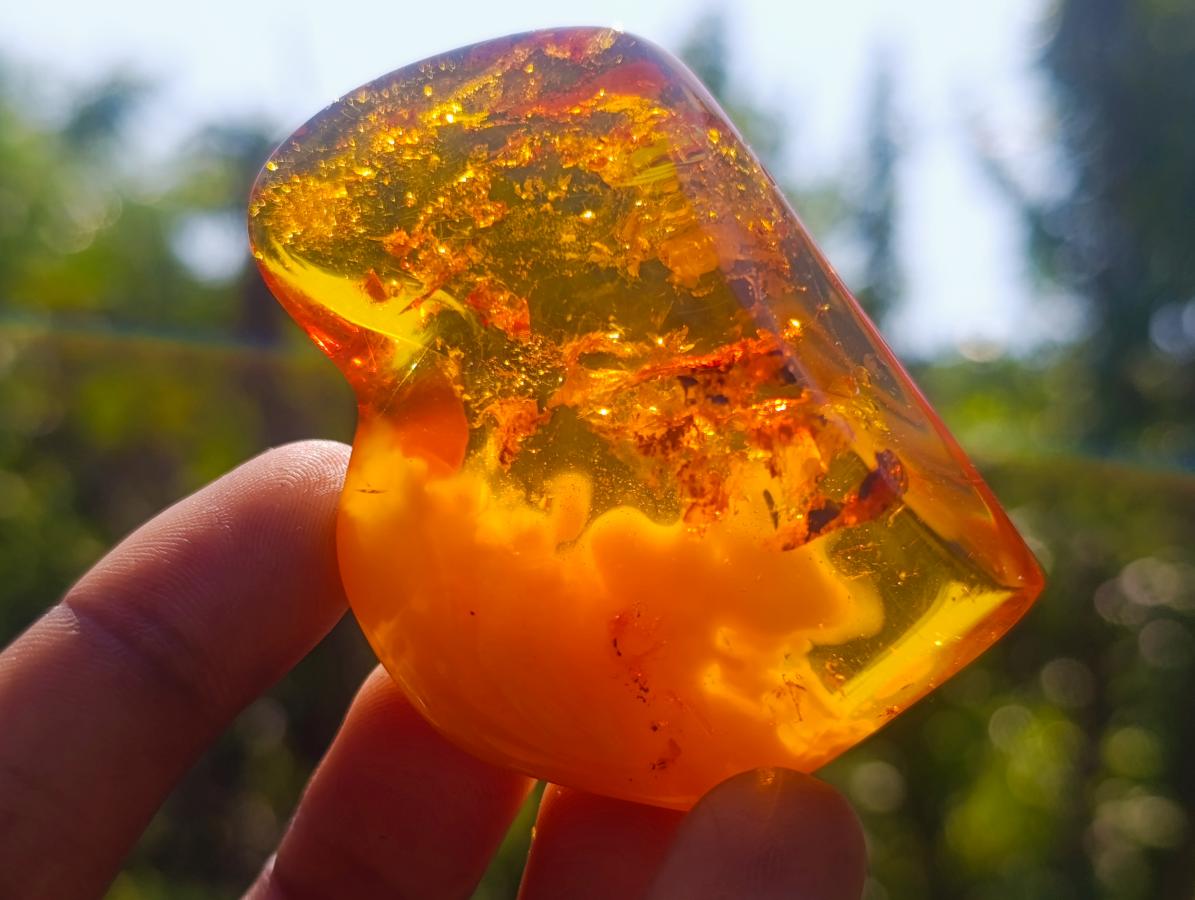 Polished Stunning Fossilised Baltic Amber Specimen x 1 From Poland