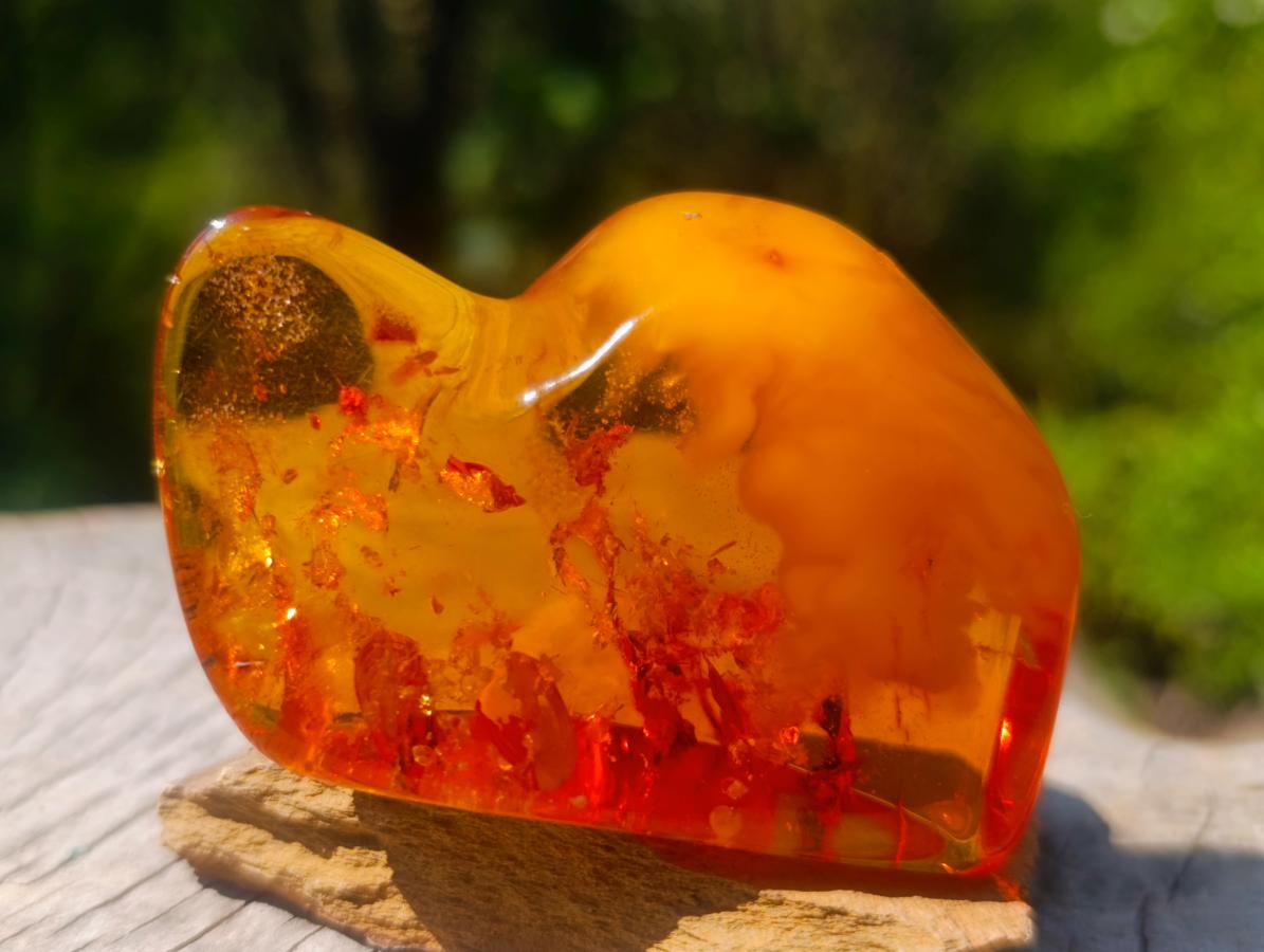 Polished Stunning Fossilised Baltic Amber Specimen x 1 From Poland
