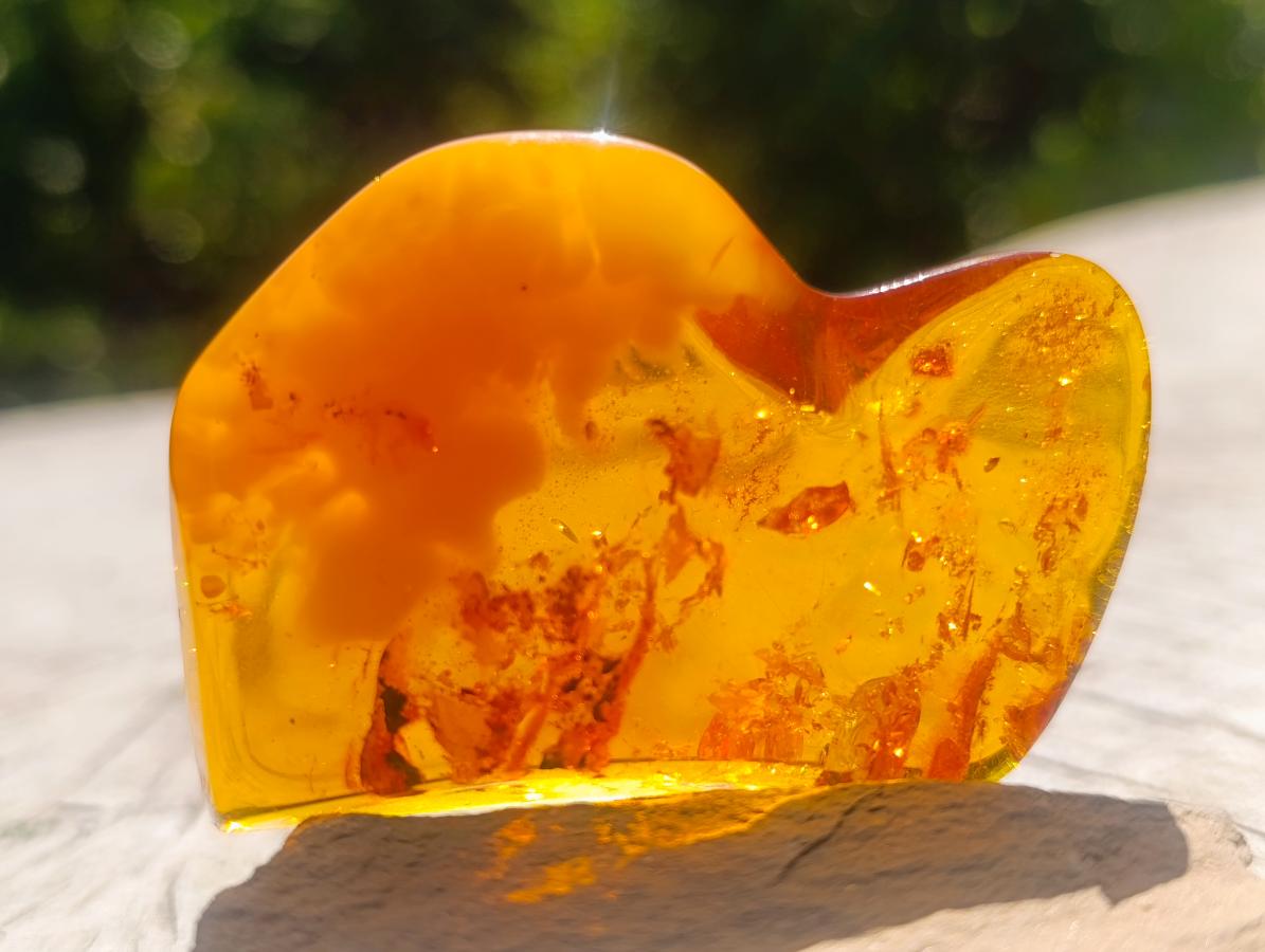 Polished Stunning Fossilised Baltic Amber Specimen x 1 From Poland