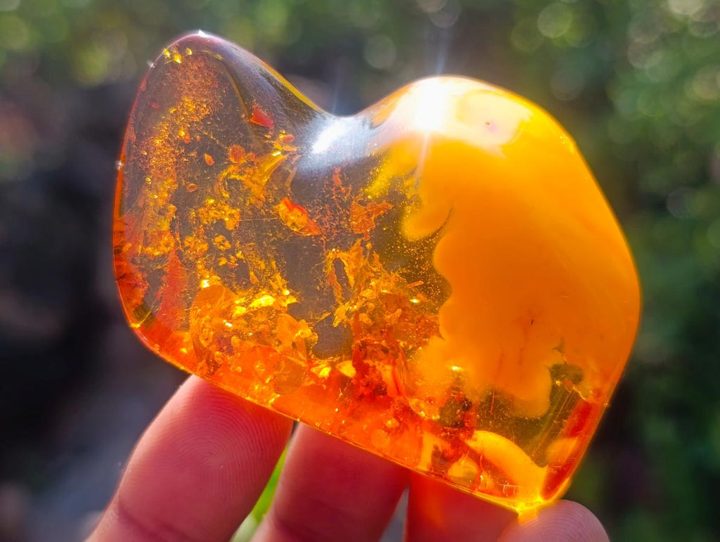 Polished Stunning Fossilised Baltic Amber Specimen x 1 From Poland