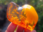 Polished Stunning Fossilised Baltic Amber Specimen x 1 From Poland