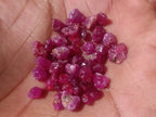 Natural Small Rough Gemmy Ruby Faceting Stones x 1 From Vatomandry, Madagascar
