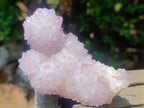 Natural Classic Sunburst Spirit Amethyst Crystal Cluster with Botryoidal Features x 1 From Boekenhouthoek, South Africa