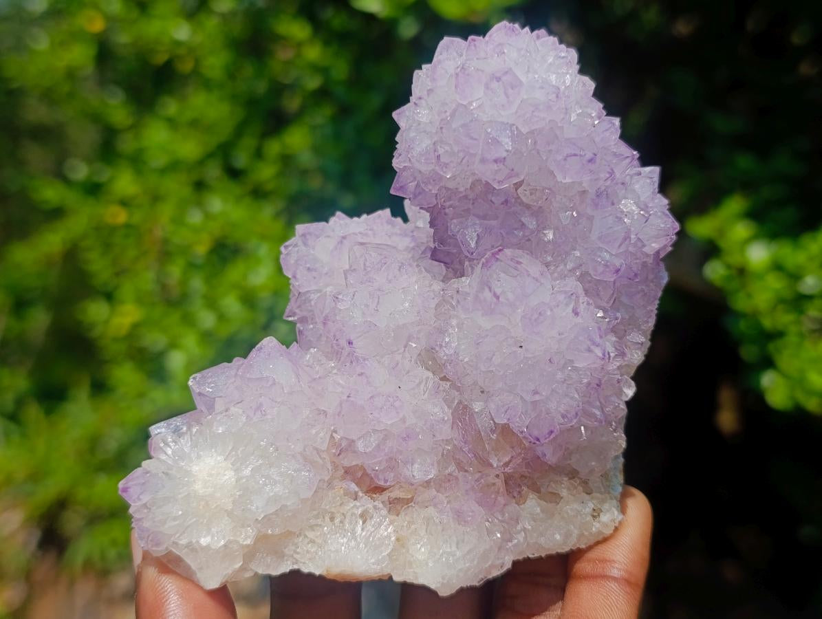 Natural Classic Sunburst Spirit Amethyst Crystal Cluster with Botryoidal Features x 1 From Boekenhouthoek, South Africa