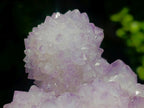 Natural Classic Sunburst Spirit Amethyst Crystal Cluster with Botryoidal Features x 1 From Boekenhouthoek, South Africa
