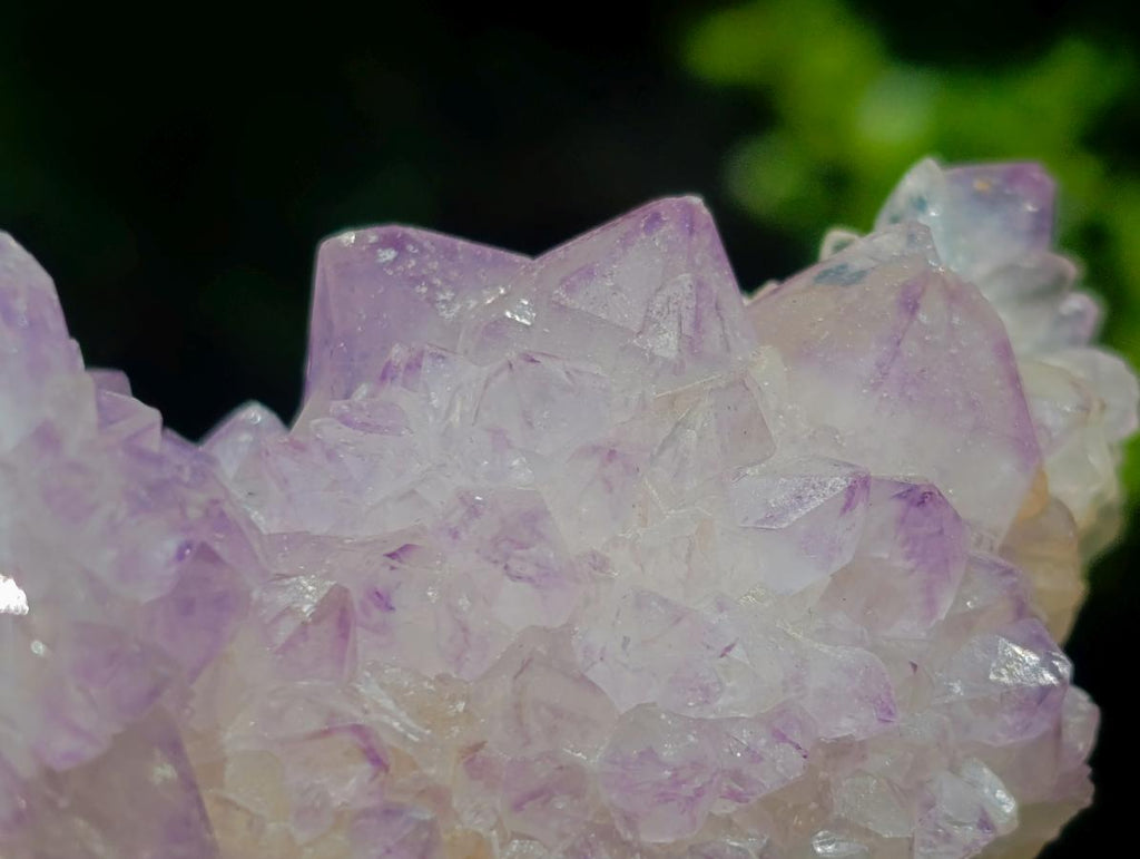 Natural Classic Sunburst Spirit Amethyst Crystal Cluster with Botryoidal Features x 1 From Boekenhouthoek, South Africa