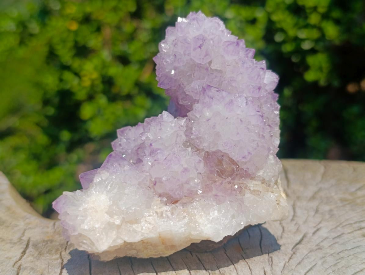 Natural Classic Sunburst Spirit Amethyst Crystal Cluster with Botryoidal Features x 1 From Boekenhouthoek, South Africa