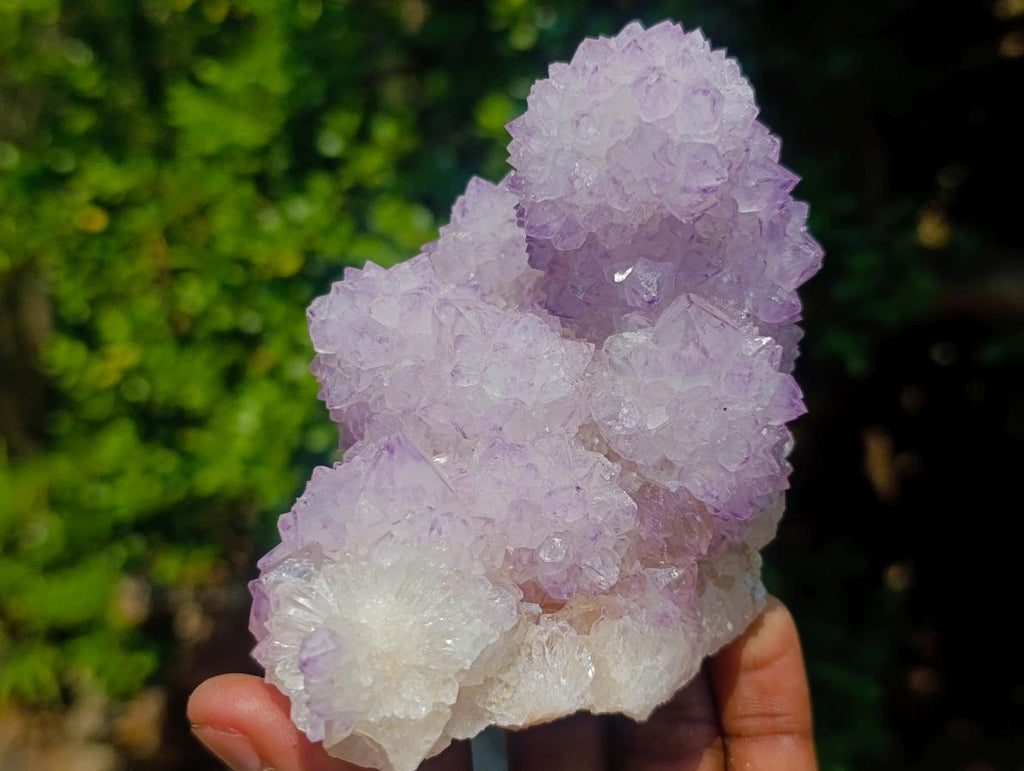 Natural Classic Sunburst Spirit Amethyst Crystal Cluster with Botryoidal Features x 1 From Boekenhouthoek, South Africa