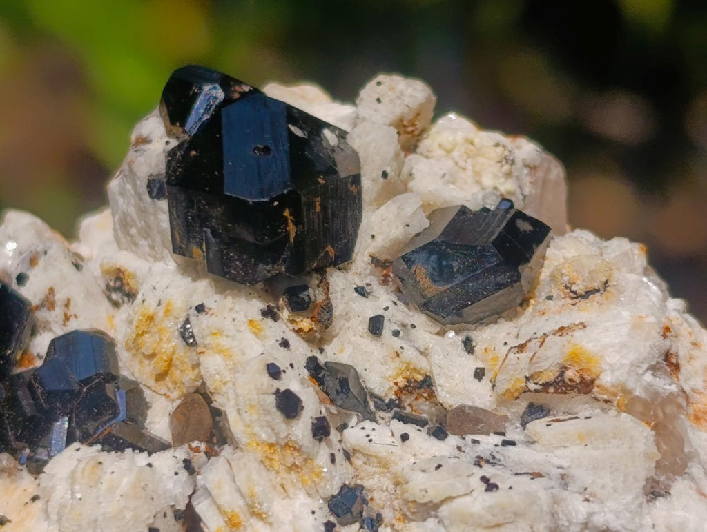 Natural Shiny Black Schorl Tourmaline Crystals on Bladed Lamellar White Feldspar x 1 From Erongo Mountain, Namibia