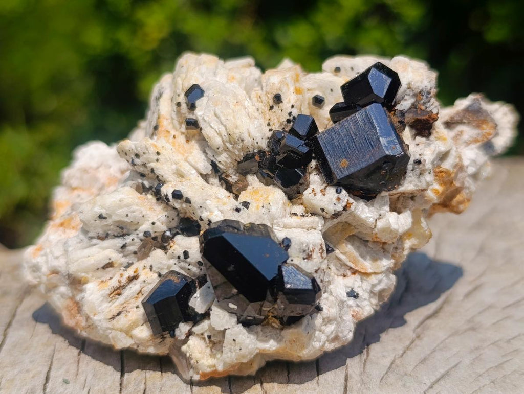 Natural Shiny Black Schorl Tourmaline Crystals on Bladed Lamellar White Feldspar x 1 From Erongo Mountain, Namibia