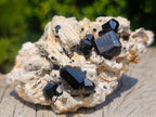 Natural Shiny Black Schorl Tourmaline Crystals on Bladed Lamellar White Feldspar x 1 From Erongo Mountain, Namibia
