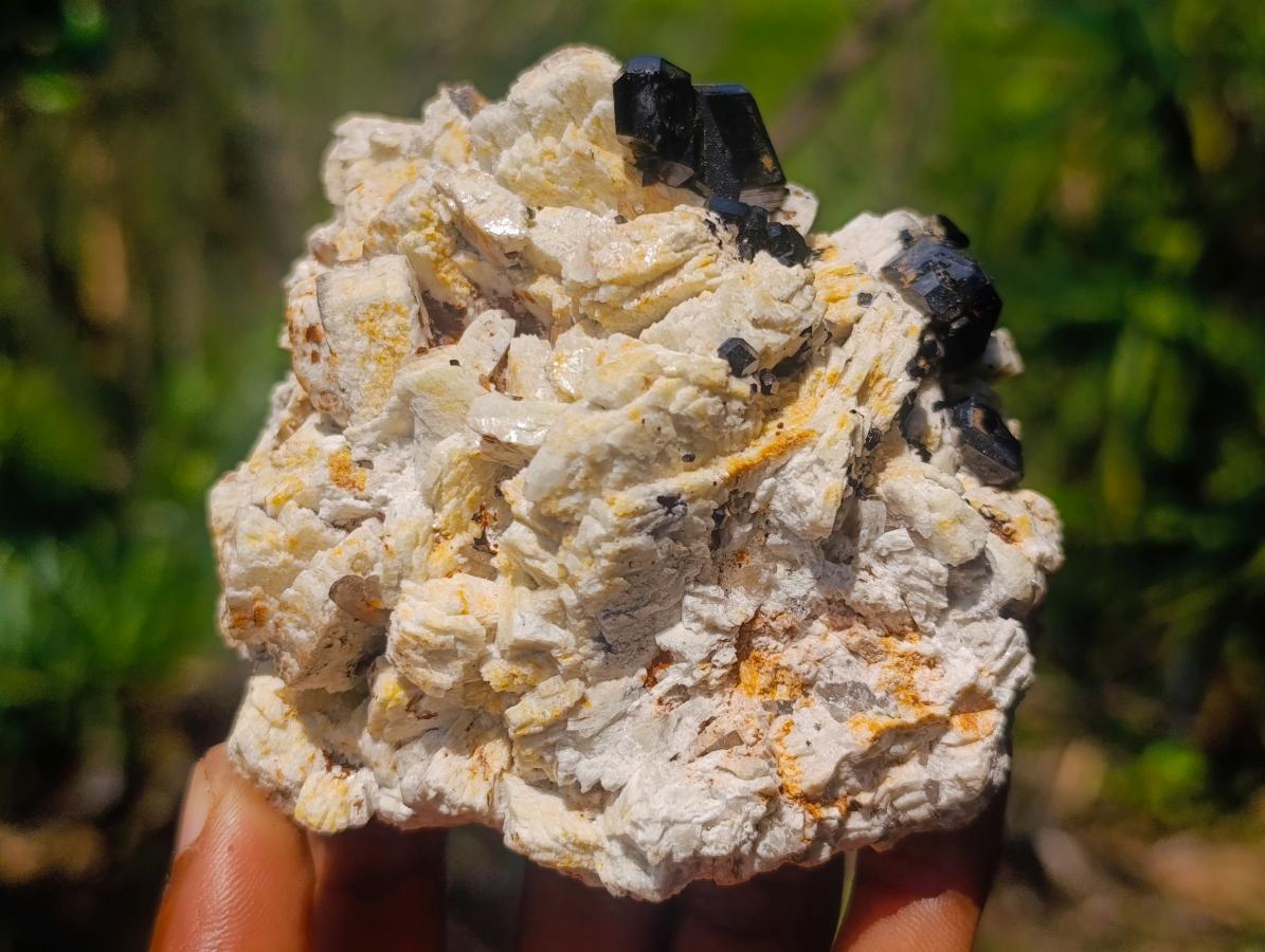 Natural Shiny Black Schorl Tourmaline Crystals on Bladed Lamellar White Feldspar x 1 From Erongo Mountain, Namibia