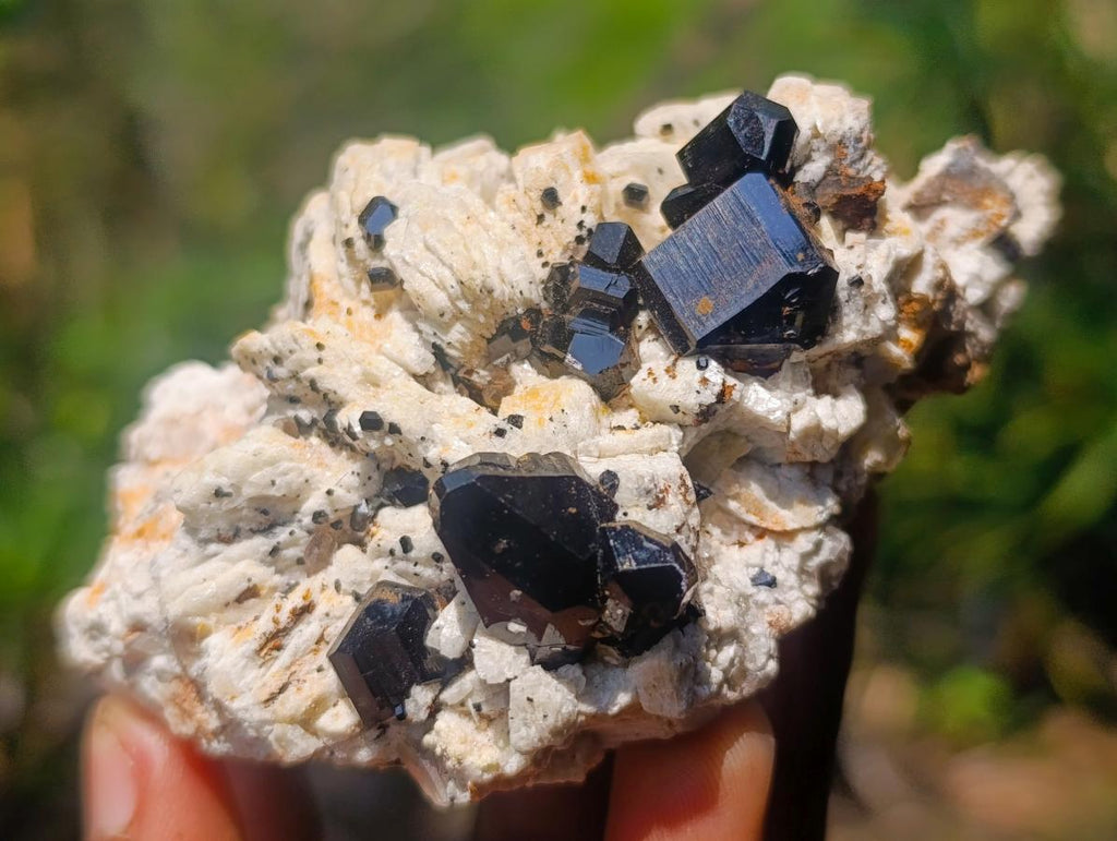 Natural Shiny Black Schorl Tourmaline Crystals on Bladed Lamellar White Feldspar x 1 From Erongo Mountain, Namibia