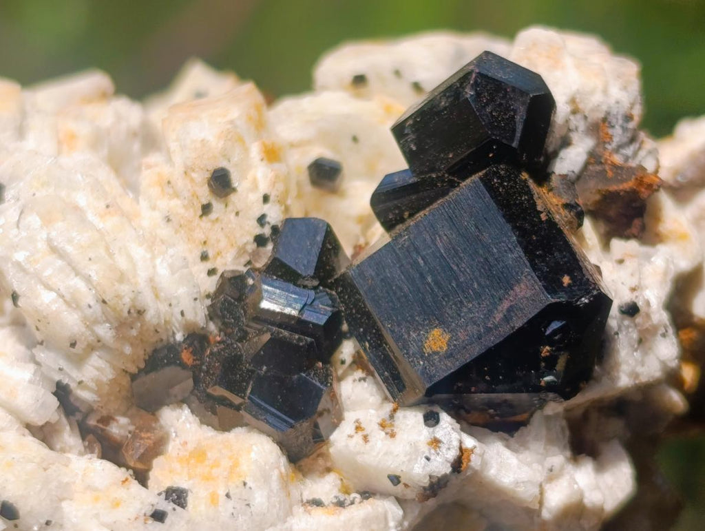 Natural Shiny Black Schorl Tourmaline Crystals on Bladed Lamellar White Feldspar x 1 From Erongo Mountain, Namibia