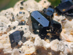 Natural Shiny Black Schorl Tourmaline Crystals on Bladed Lamellar White Feldspar x 1 From Erongo Mountain, Namibia