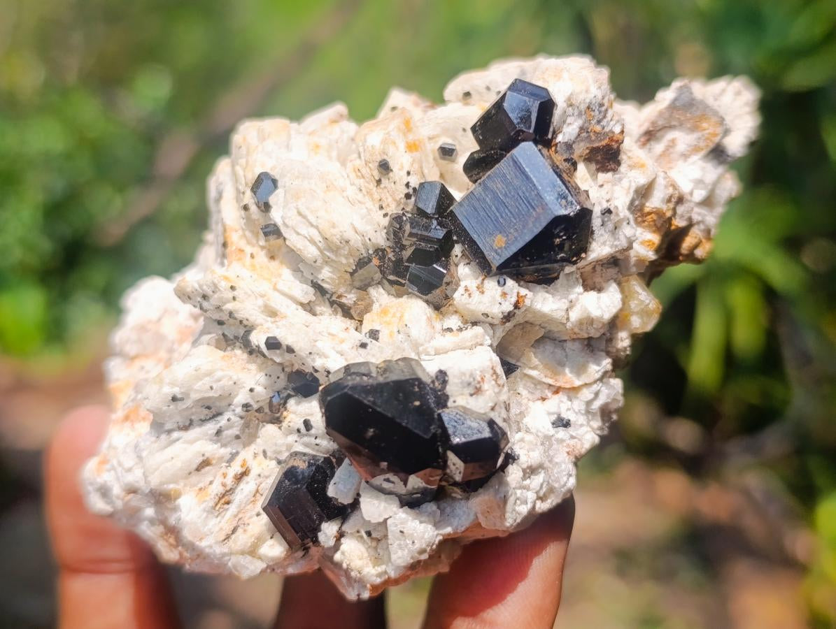 Natural Shiny Black Schorl Tourmaline Crystals on Bladed Lamellar White Feldspar x 1 From Erongo Mountain, Namibia