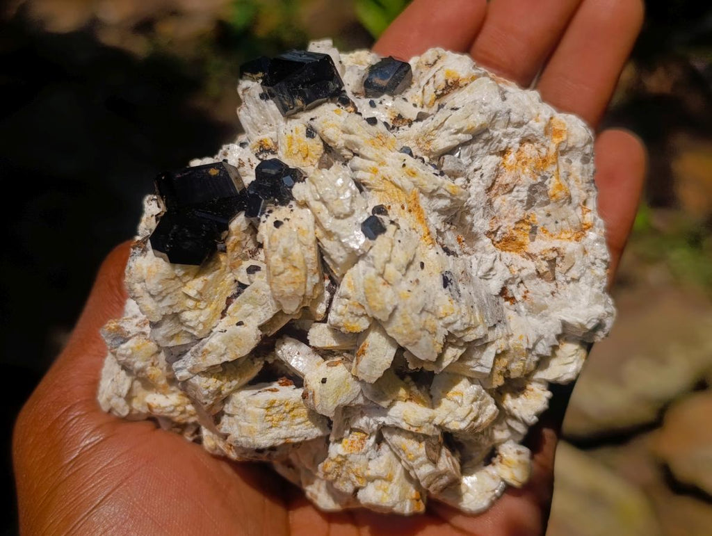 Natural Shiny Black Schorl Tourmaline Crystals on Bladed Lamellar White Feldspar x 1 From Erongo Mountain, Namibia