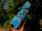Natural Glossy Bright Blue Silica Chrysocolla and Malachite on Dolomite Specimen x 1 From Kulukuluku, Congo