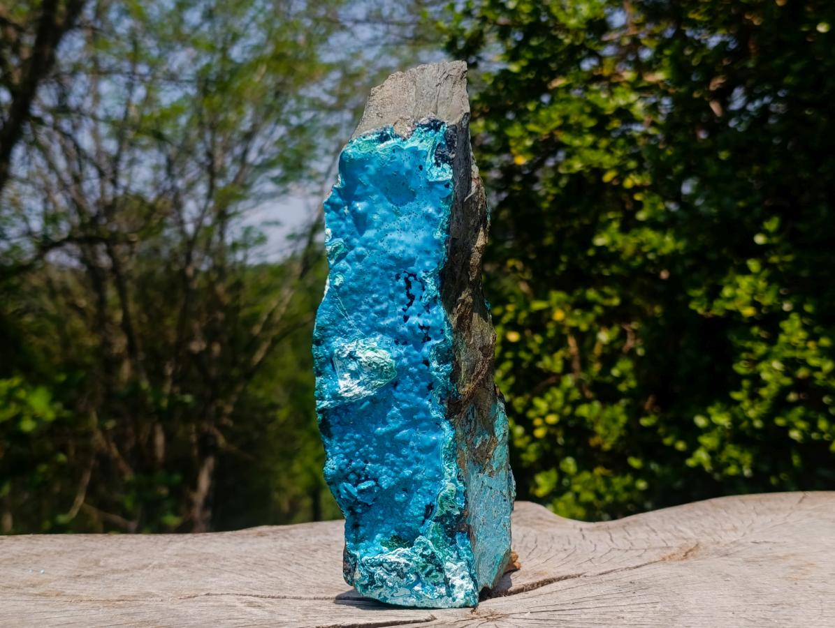 Natural Glossy Bright Blue Silica Chrysocolla and Malachite on Dolomite Specimen x 1 From Kulukuluku, Congo