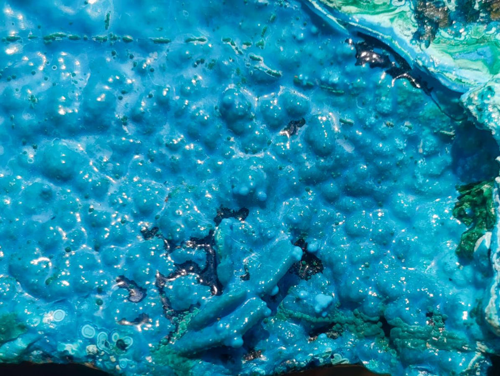 Natural Glossy Bright Blue Silica Chrysocolla and Malachite on Dolomite Specimen x 1 From Kulukuluku, Congo