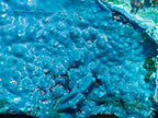 Natural Glossy Bright Blue Silica Chrysocolla and Malachite on Dolomite Specimen x 1 From Kulukuluku, Congo