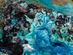 Natural Glossy Bright Blue Silica Chrysocolla and Malachite on Dolomite Specimen x 1 From Kulukuluku, Congo
