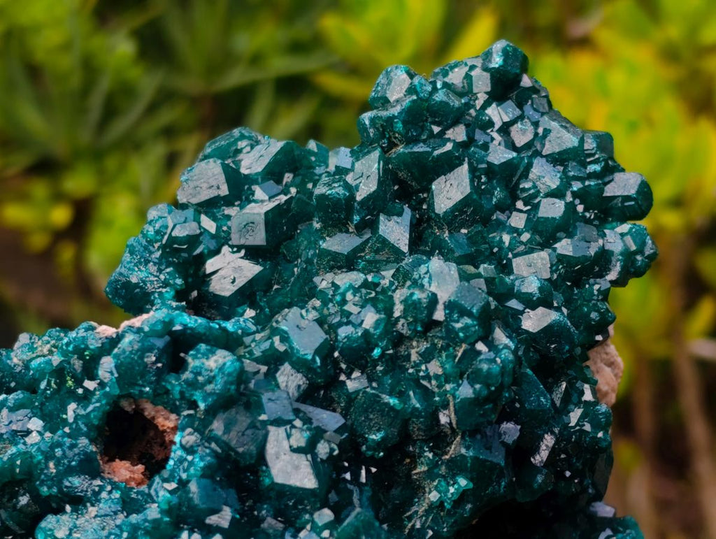 Natural Exquisite and Classic Emerald Green Large Cabinet Sized Dioptase Specimen x 1 From Tantara, Congo