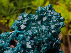 Natural Exquisite and Classic Emerald Green Large Cabinet Sized Dioptase Specimen x 1 From Tantara, Congo