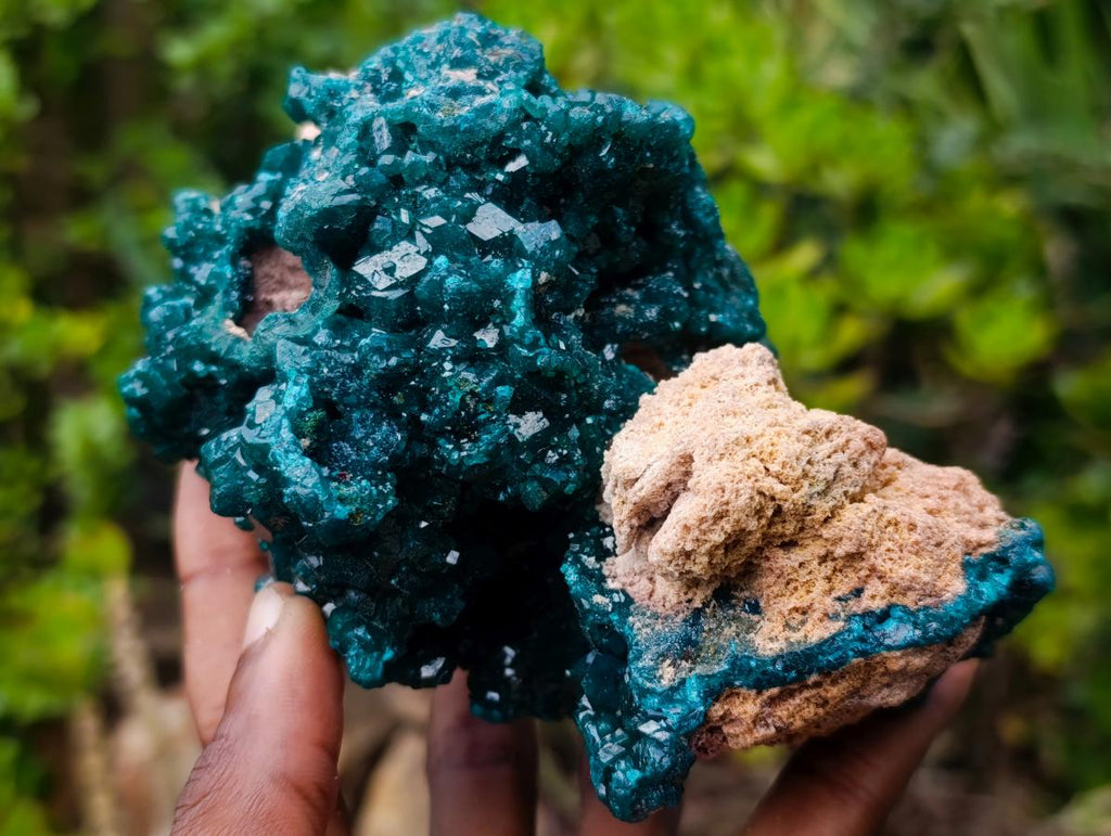 Natural Exquisite and Classic Emerald Green Large Cabinet Sized Dioptase Specimen x 1 From Tantara, Congo