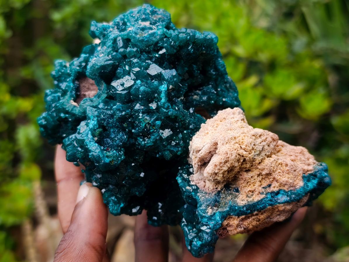 Natural Exquisite and Classic Emerald Green Large Cabinet Sized Dioptase Specimen x 1 From Tantara, Congo