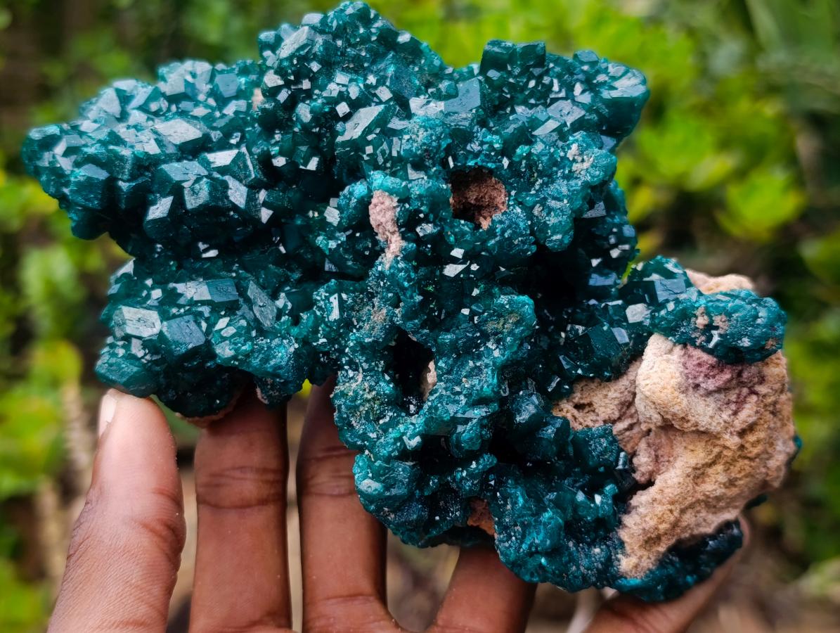Natural Exquisite and Classic Emerald Green Large Cabinet Sized Dioptase Specimen x 1 From Tantara, Congo