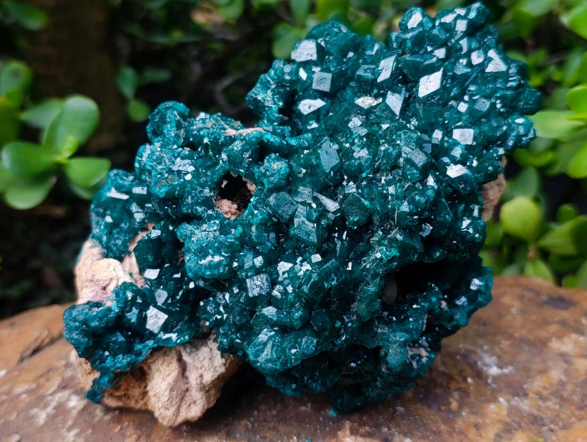 Natural Exquisite and Classic Emerald Green Large Cabinet Sized Dioptase Specimen x 1 From Tantara, Congo