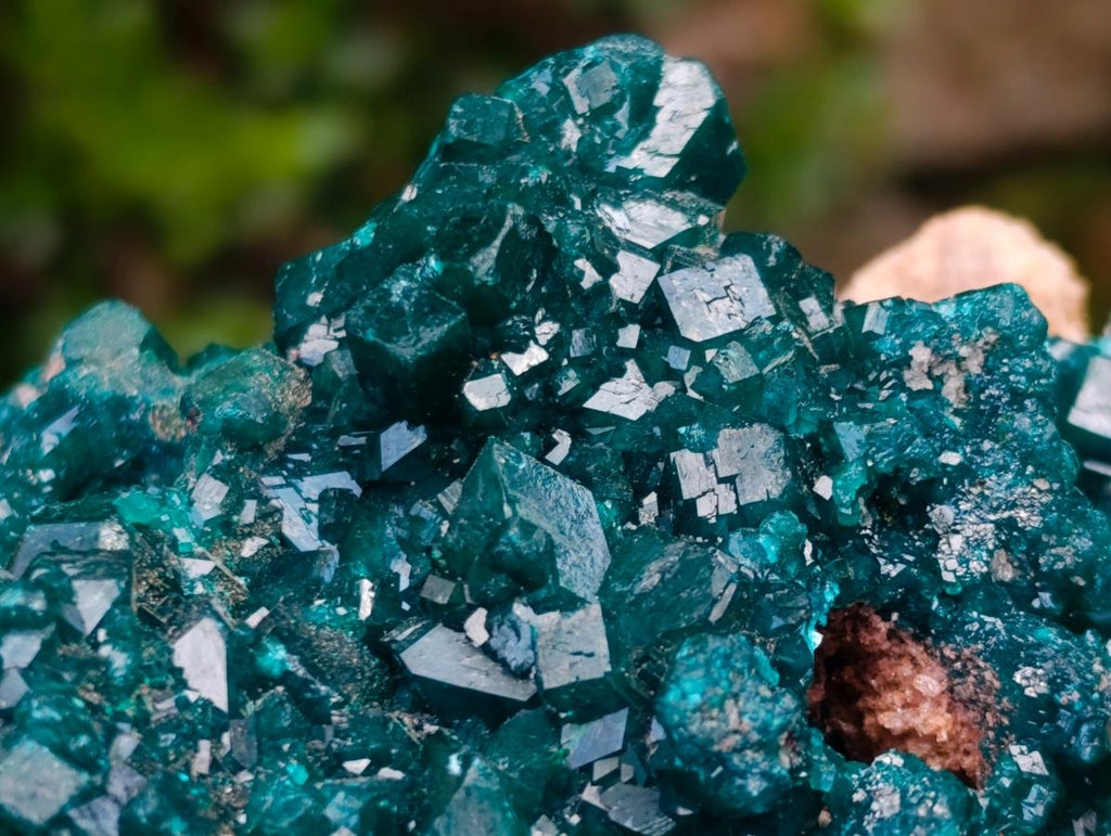 Natural Exquisite and Classic Emerald Green Large Cabinet Sized Dioptase Specimen x 1 From Tantara, Congo