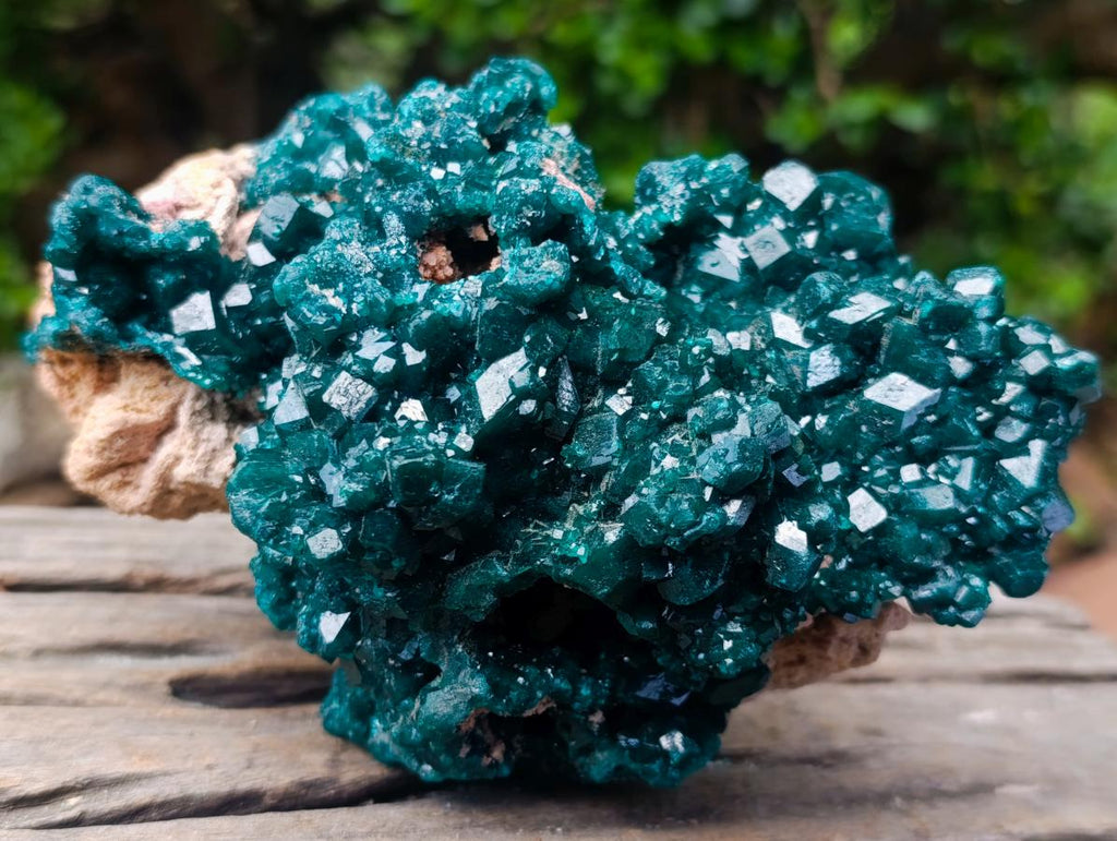 Natural Exquisite and Classic Emerald Green Large Cabinet Sized Dioptase Specimen x 1 From Tantara, Congo