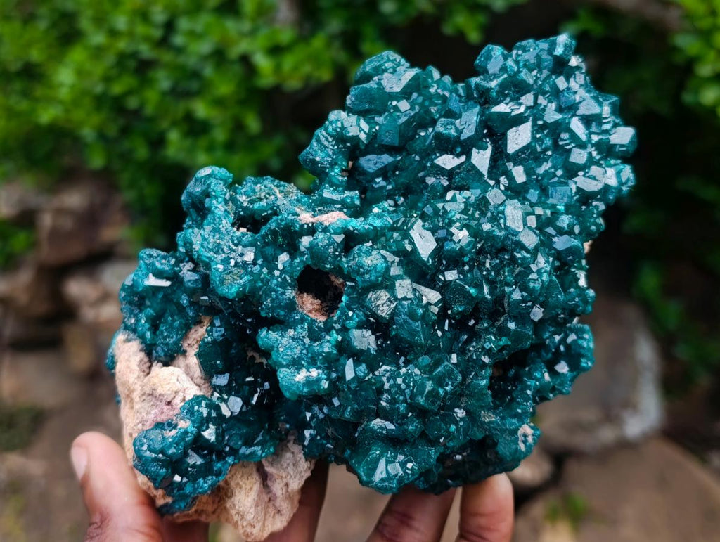 Natural Exquisite and Classic Emerald Green Large Cabinet Sized Dioptase Specimen x 1 From Tantara, Congo