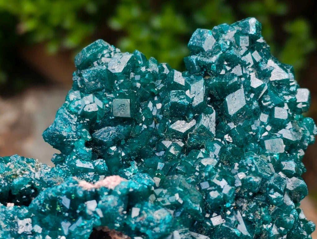 Natural Exquisite and Classic Emerald Green Large Cabinet Sized Dioptase Specimen x 1 From Tantara, Congo