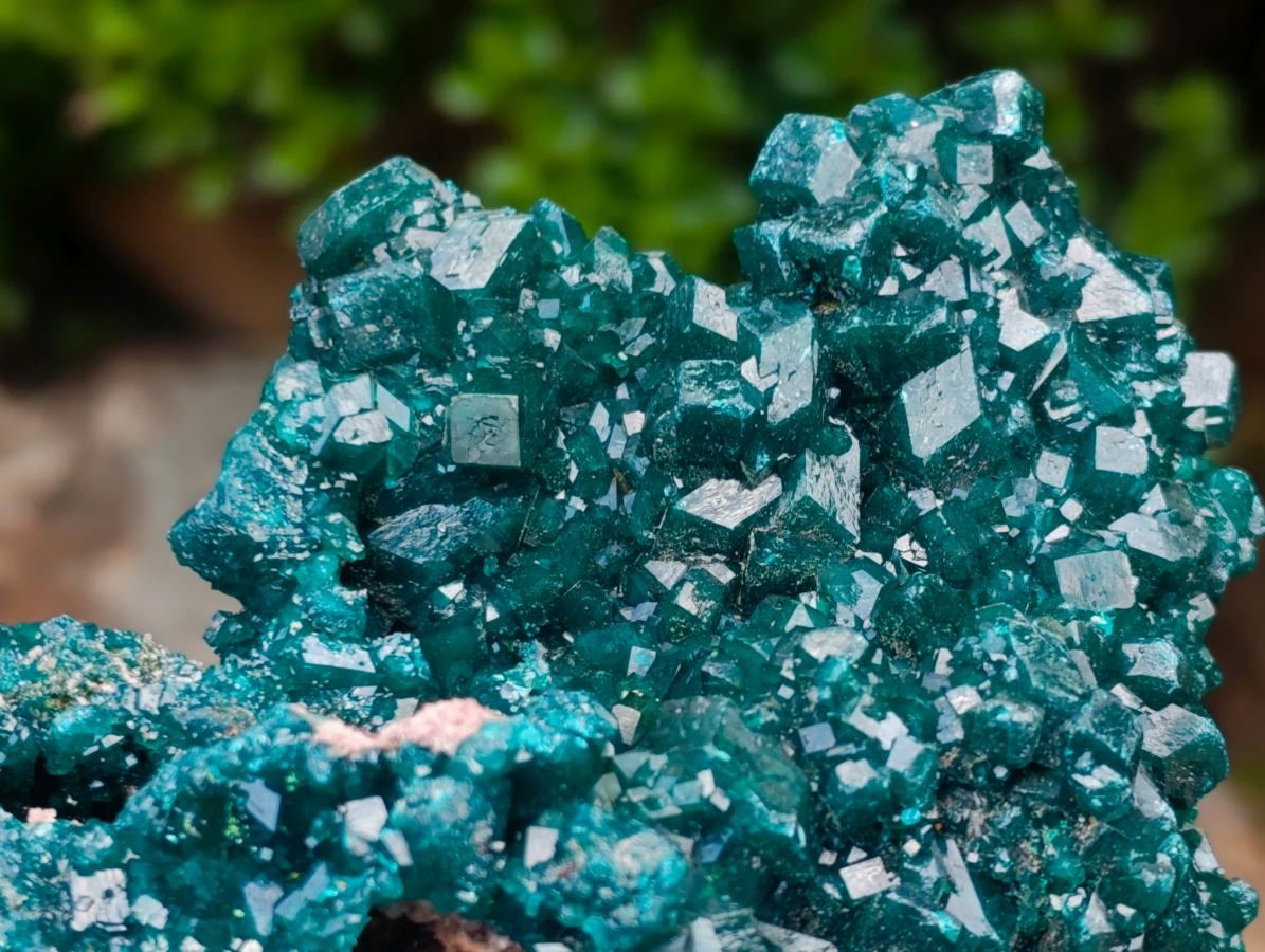 Natural Exquisite and Classic Emerald Green Large Cabinet Sized Dioptase Specimen x 1 From Tantara, Congo