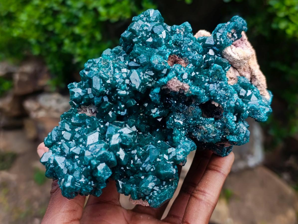 Natural Exquisite and Classic Emerald Green Large Cabinet Sized Dioptase Specimen x 1 From Tantara, Congo