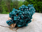 Natural Exquisite and Classic Emerald Green Large Cabinet Sized Dioptase Specimen x 1 From Tantara, Congo