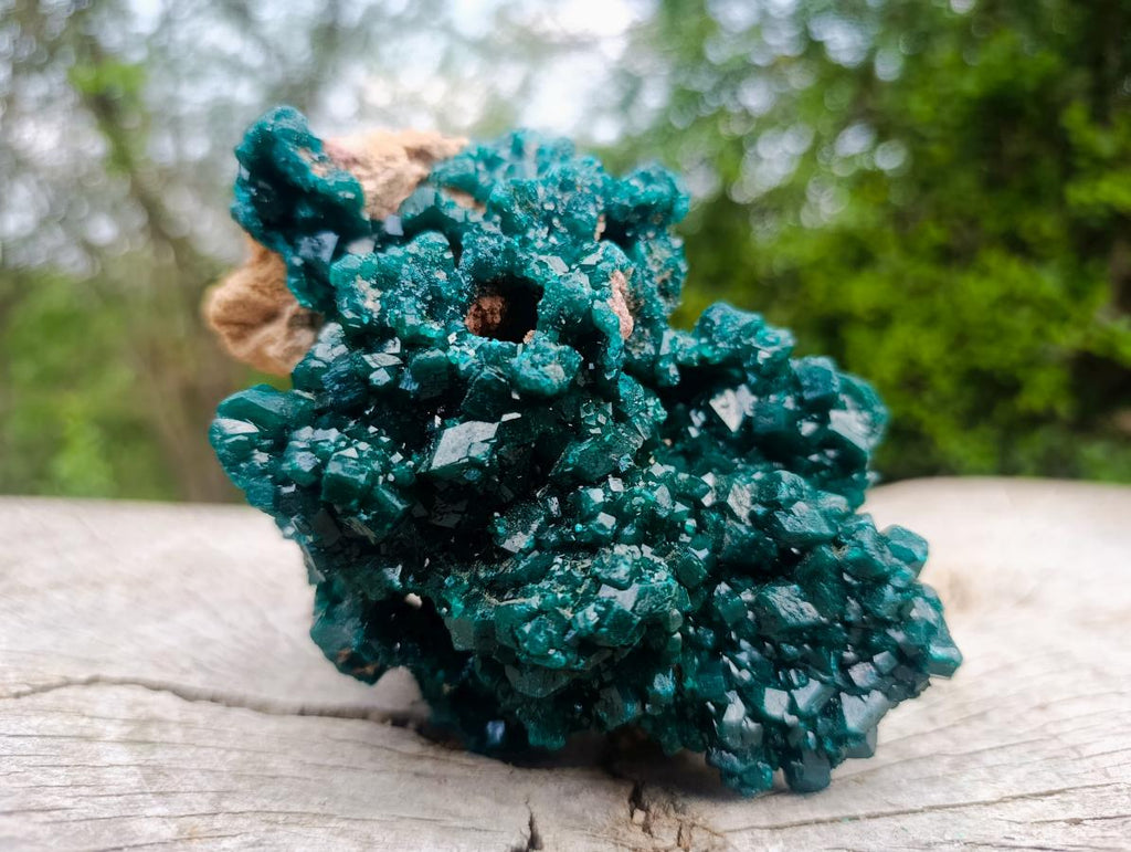Natural Exquisite and Classic Emerald Green Large Cabinet Sized Dioptase Specimen x 1 From Tantara, Congo