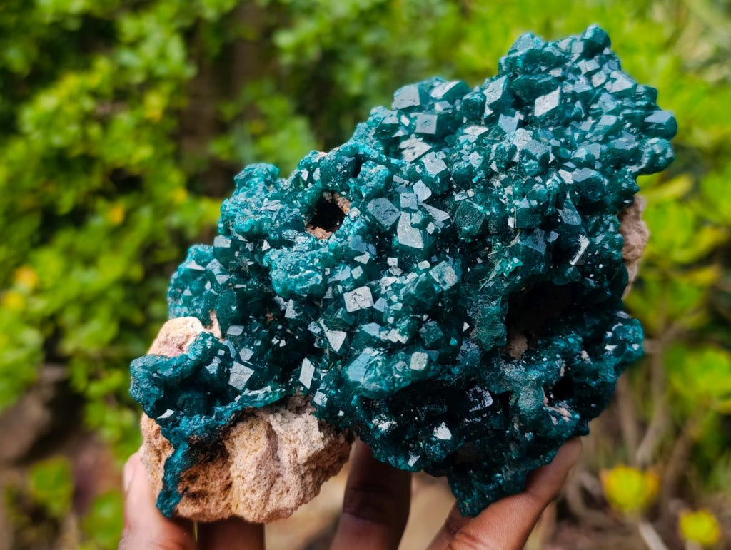 Natural Exquisite and Classic Emerald Green Large Cabinet Sized Dioptase Specimen x 1 From Tantara, Congo