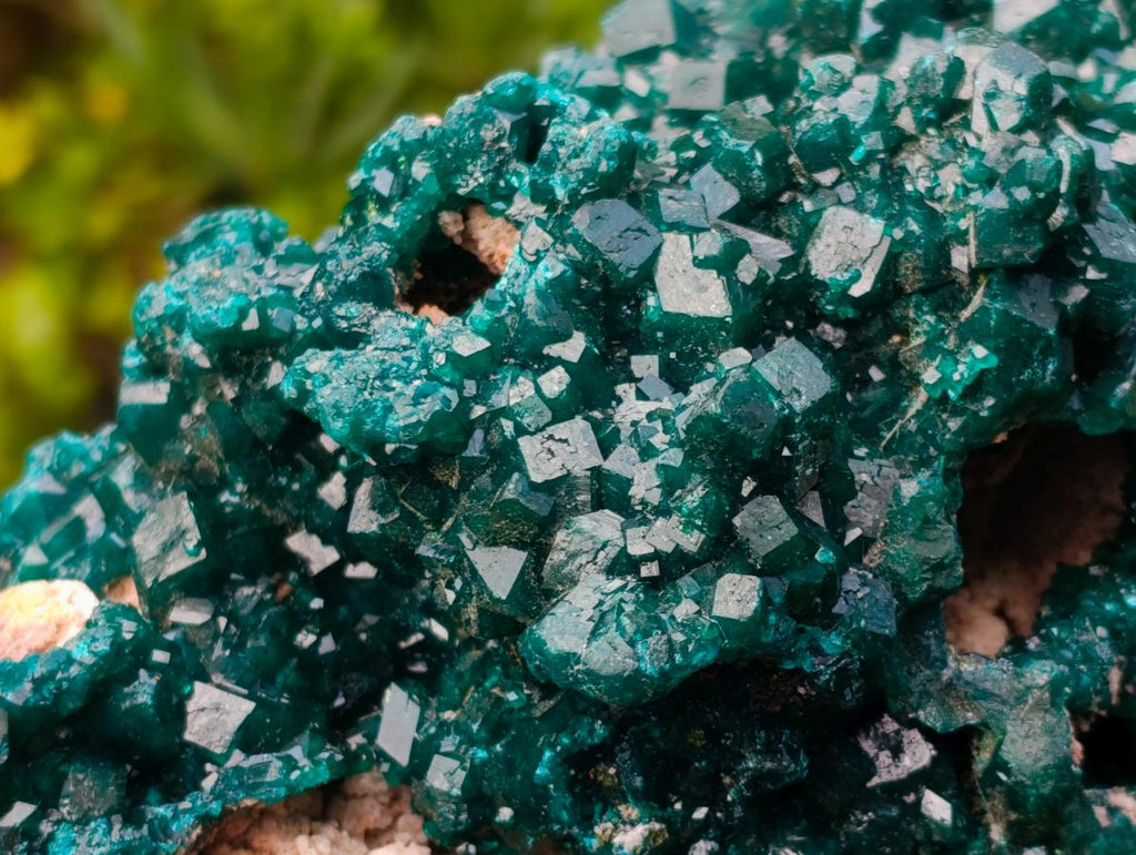 Natural Exquisite and Classic Emerald Green Large Cabinet Sized Dioptase Specimen x 1 From Tantara, Congo