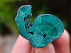 Natural Trio of Silky Malachite Stalactite Specimens x 1 From Kasompe, Congo