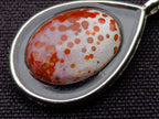 Hand Made Red Orbicular Ocean Jasper Cabochon Set in a Silver Teardrop Shaped Necklace x 1 From Madagascar