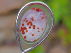 Hand Made Red Orbicular Ocean Jasper Cabochon Set in a Silver Teardrop Shaped Necklace x 1 From Madagascar